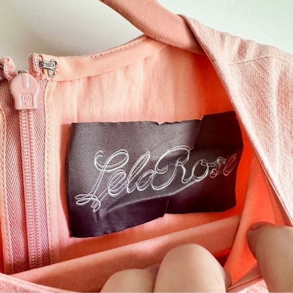 Lela Rose Blush Pink Grace Full-Skirt Fringe-Trim Mini Dress sz 4 - Picture 10 of 13